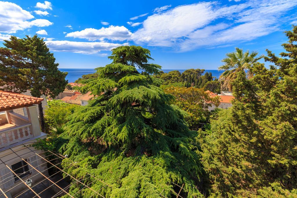 Hedera Estate, House Hedera V Villa Dubrovnik Exterior photo